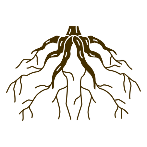 diseño sin título (10)